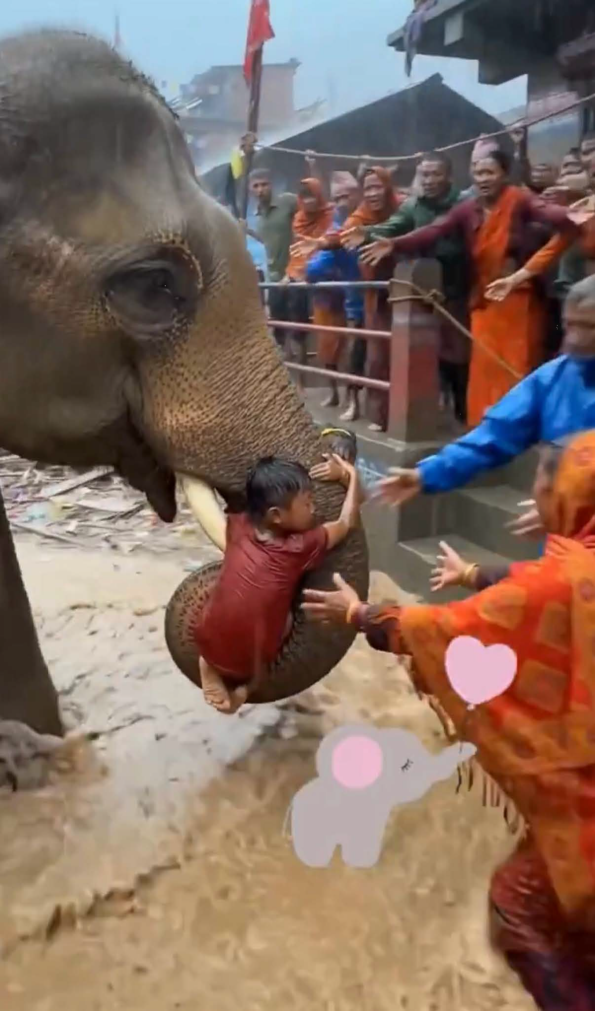 AI-generated elephant rescue video falsely shared as footage from the Nepal floods